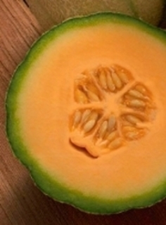 SEEDS - Melon Cantaloupe 'Heart of Gold'
